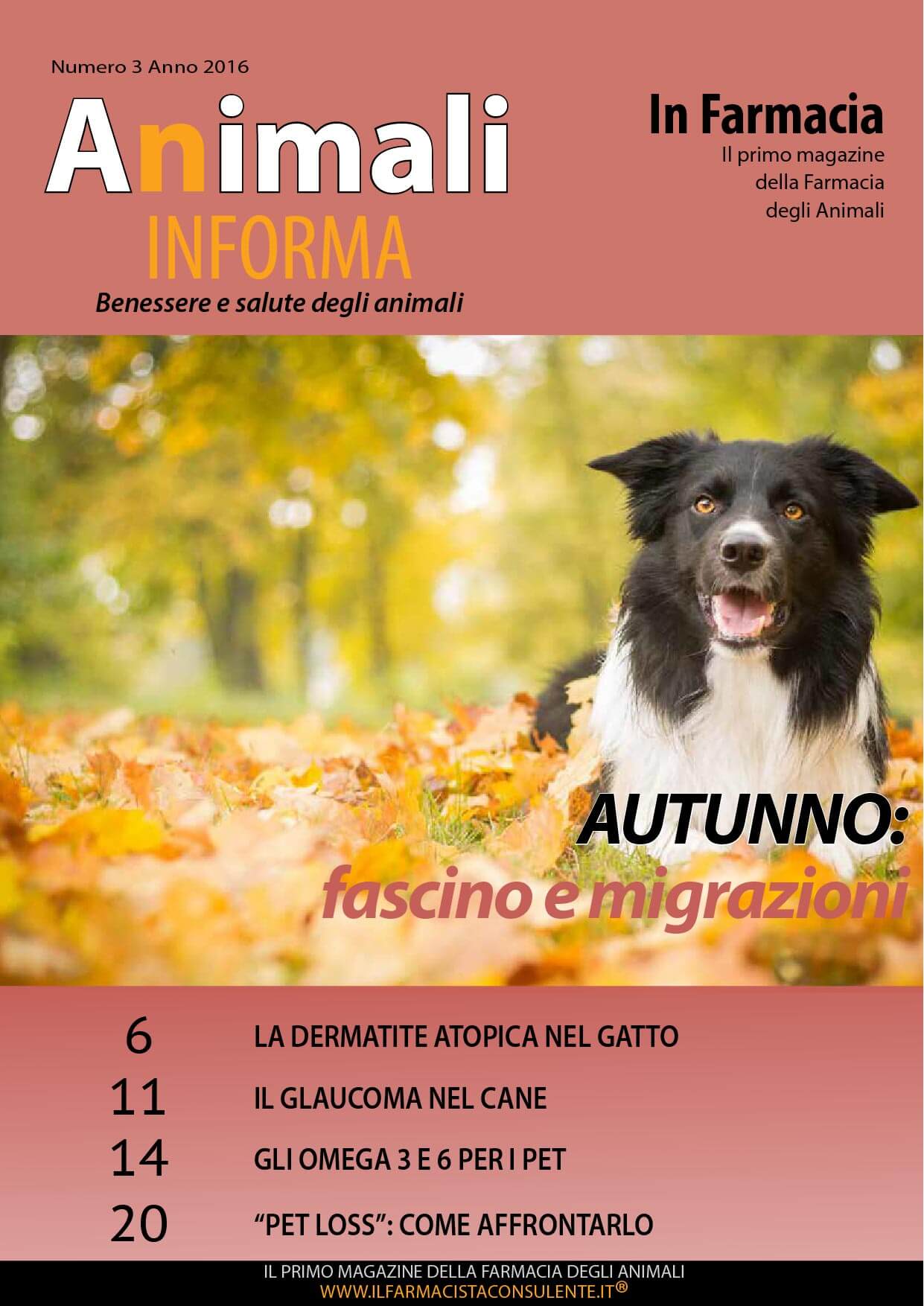 copertina animali in forma autunno 2016