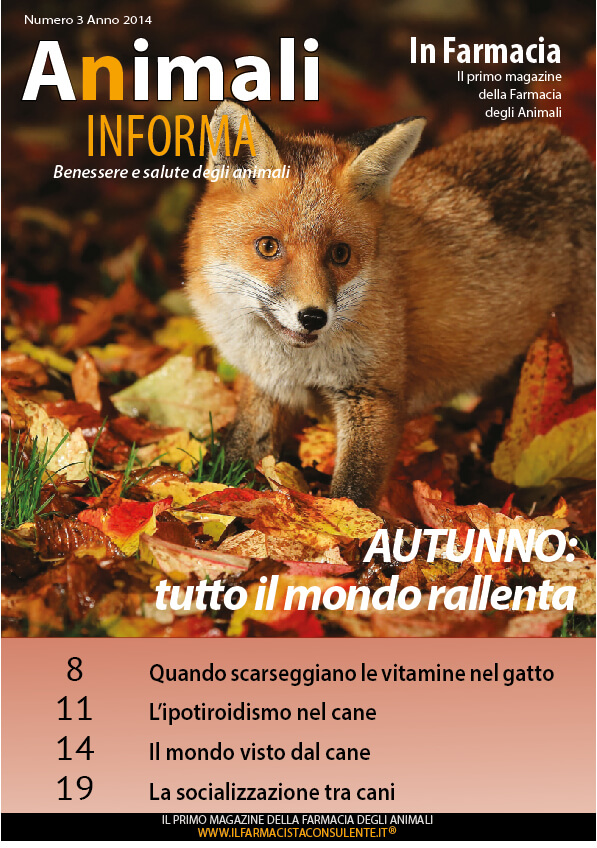 copertina animali in forma autunno 2014