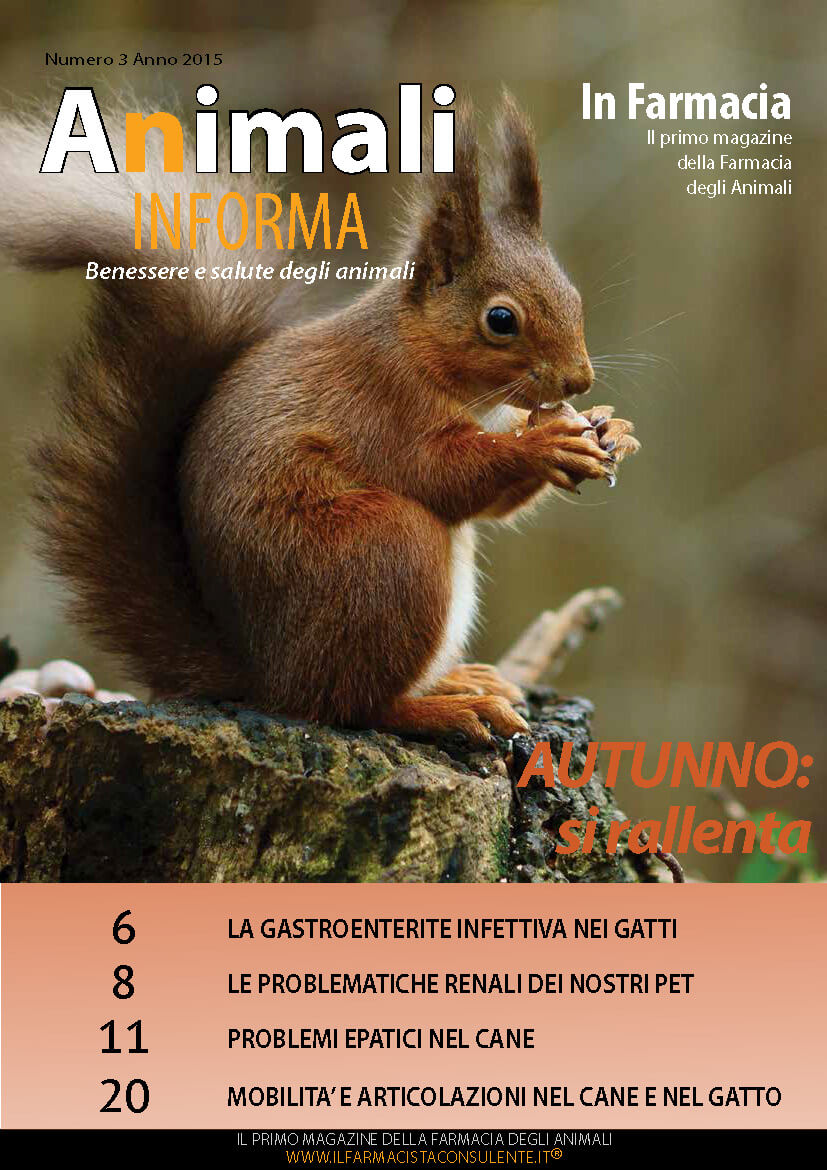copertina animali in forma autunno 2015