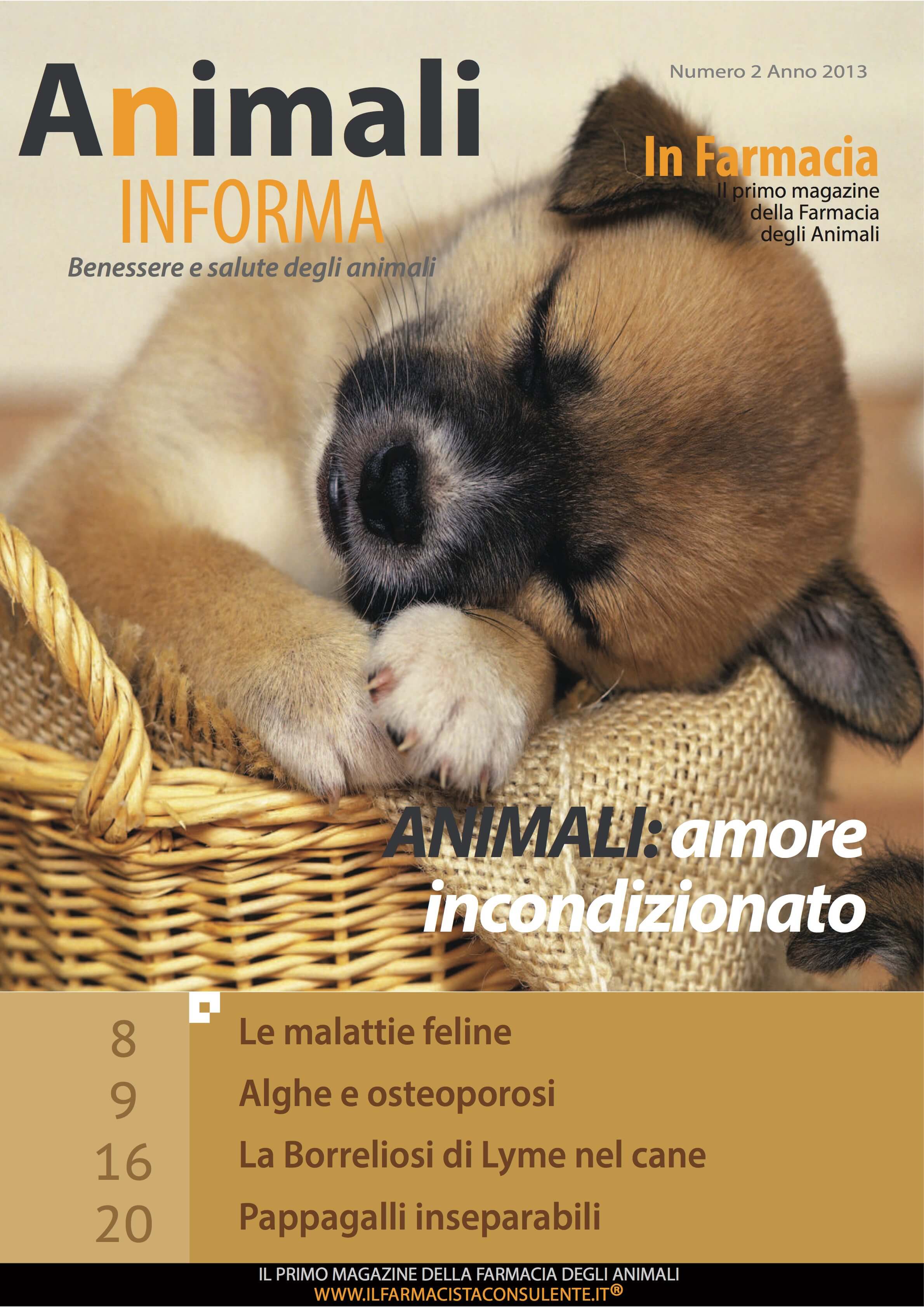 copertina animali in forma estate 2013