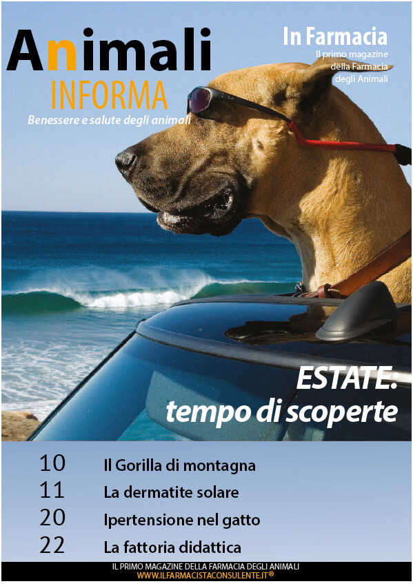 copertina animali in forma estate 2014