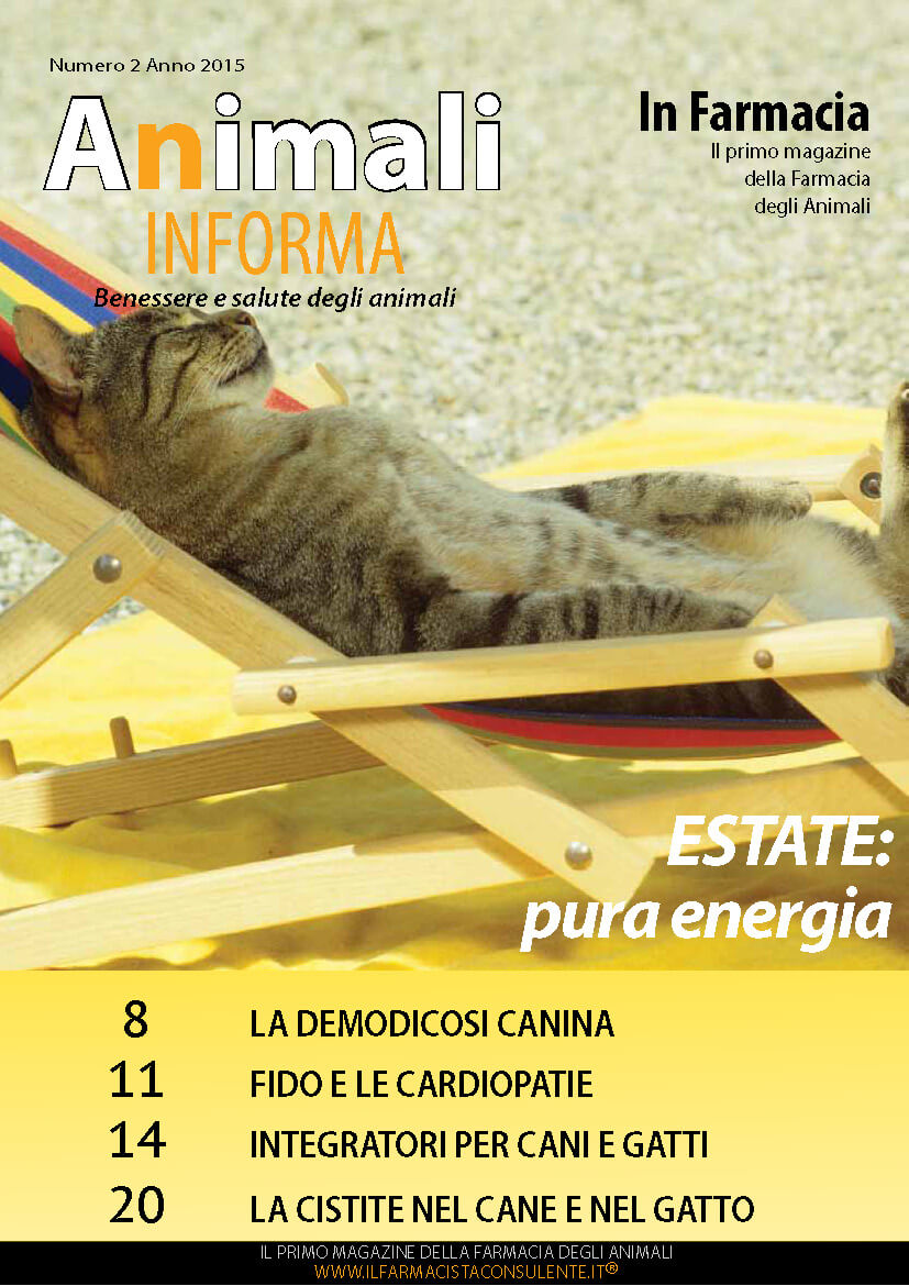 copertina animali in forma estate 2015