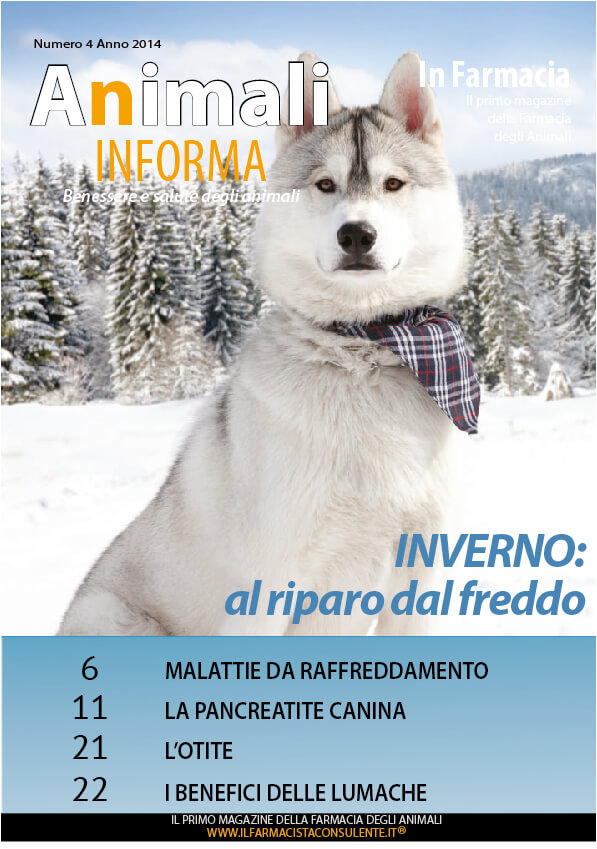 copertina animali in forma inverno 2014