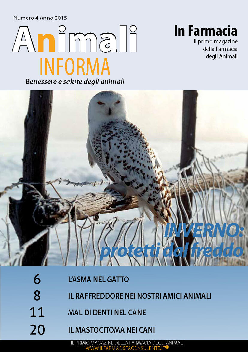 copertina animali in forma inverno 2015