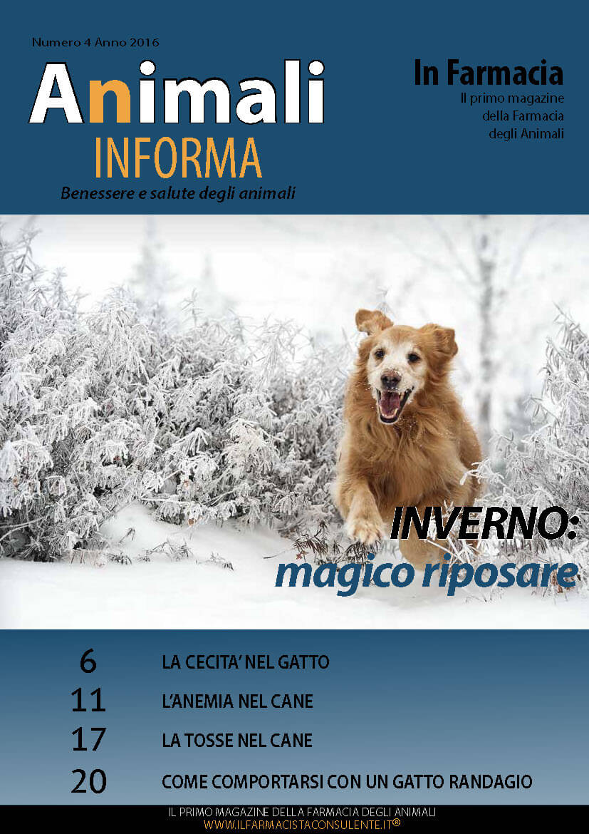 copertina animali in forma inverno 2016