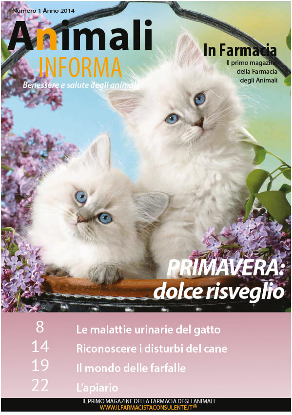 copertina animali in forma primavera 2014