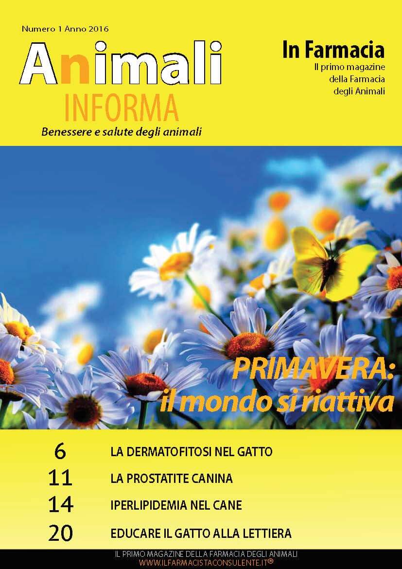 copertina animali in forma primavera 2016