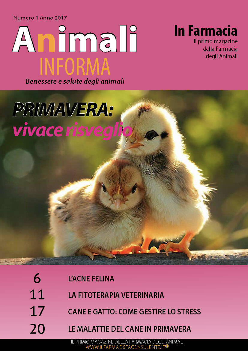 copertina animali in forma primavera 2017